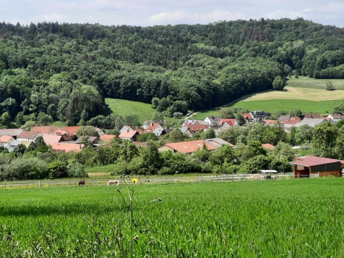 Zieger - Urlaub In Franken Appartement Buttenheim