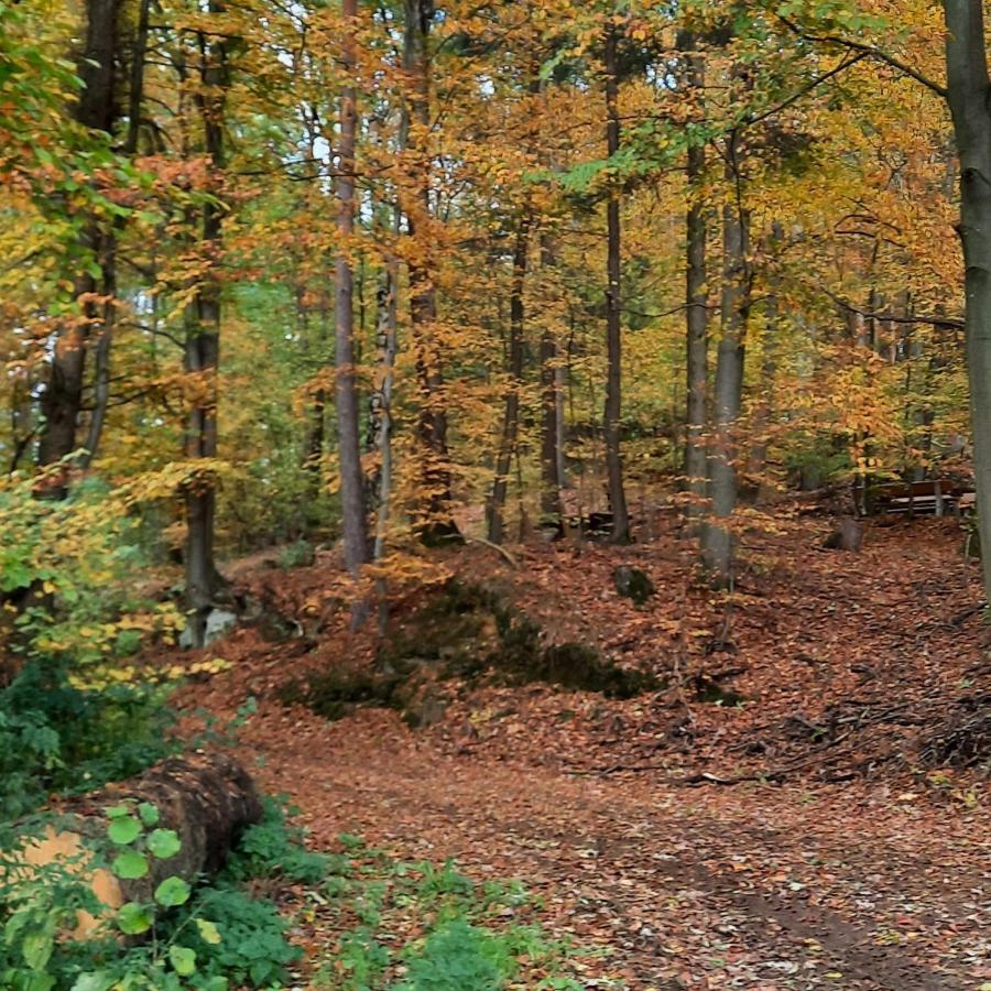 Zieger - Urlaub In Franken Buttenheim
