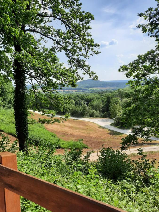 Zieger - Urlaub In Franken * Buttenheim