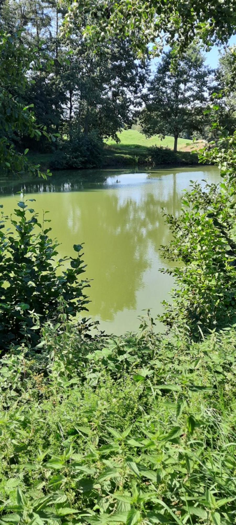 Zieger - Urlaub In Franken Appartement *