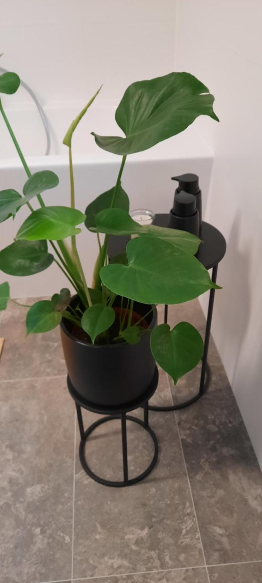 Appartement Zieger - Urlaub In Franken
