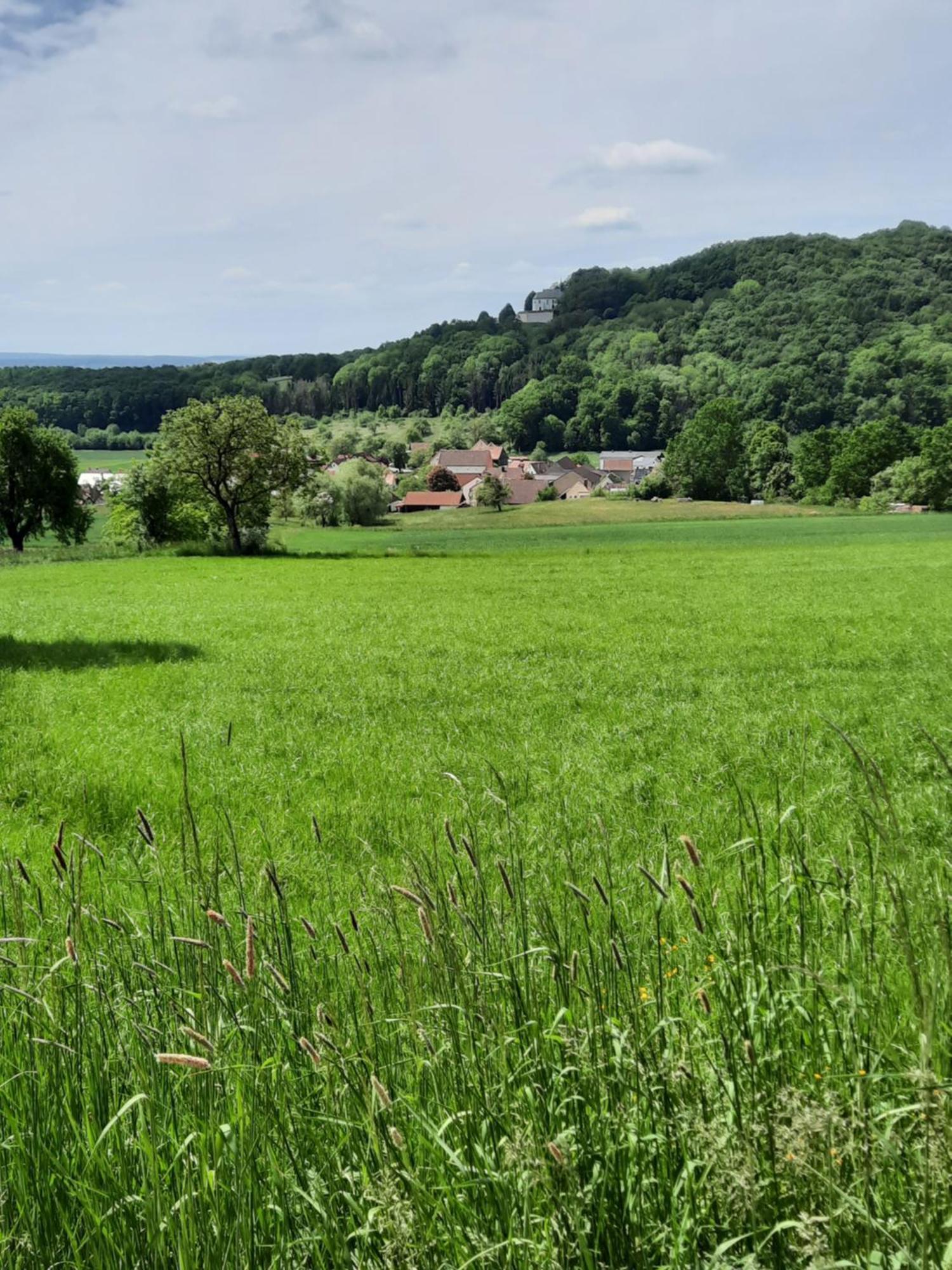 Zieger - Urlaub In Franken * Buttenheim